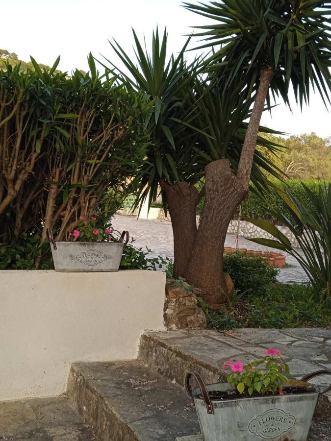 Julietta Suites Argostoli  Bagian luar foto