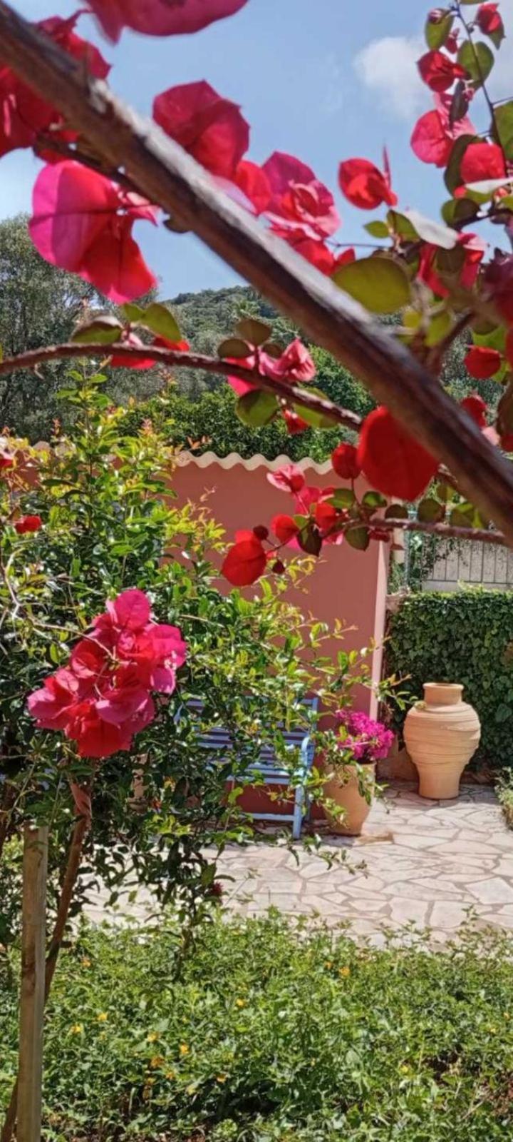 Julietta Suites Argostoli  Bagian luar foto